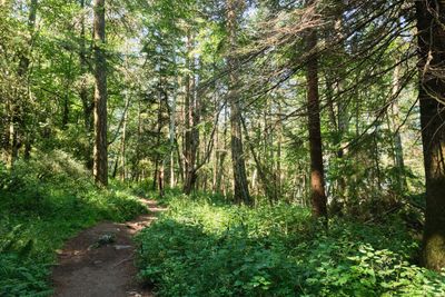 Obstruction Pass State Park