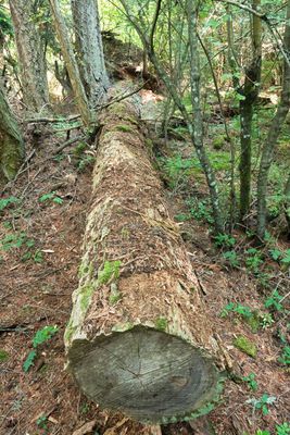 Obstruction Pass State Park