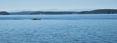 Obstruction Pass State Park
