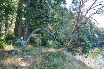 Obstruction Pass State Park
