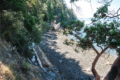 Obstruction Pass State Park