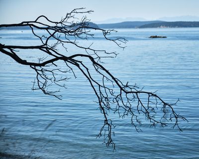 Obstruction Pass State Park