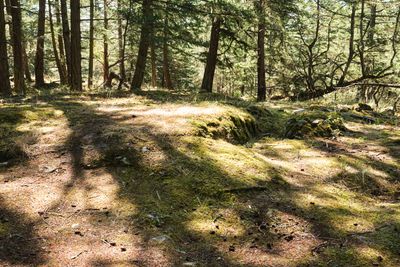 Obstruction Pass State Park