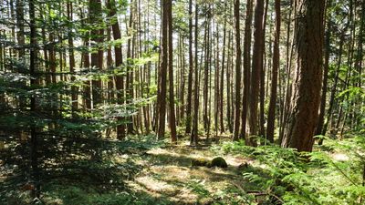 Obstruction Pass State Park