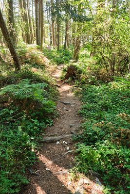 Obstruction Pass State Park