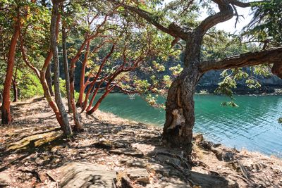 Obstruction Pass State Park