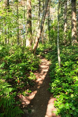 Obstruction Pass State Park