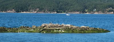 Obstruction Pass State Park