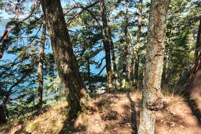 Obstruction Pass State Park