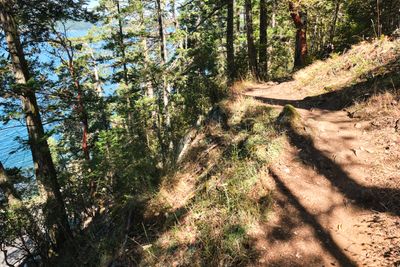 Obstruction Pass State Park