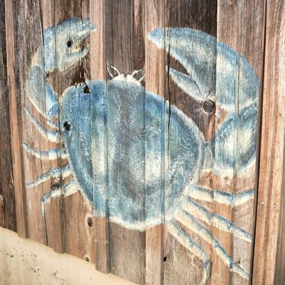 Buck Bay Shellfish Farm