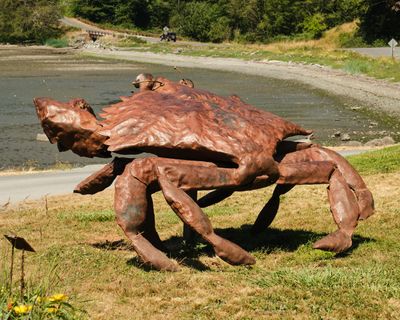 Buck Bay Shellfish Farm