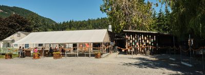 Buck Bay Shellfish Farm