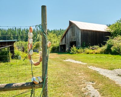 Buck Bay Shellfish Farm