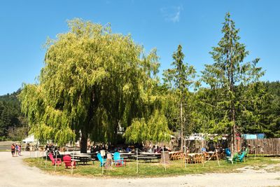 Buck Bay Shellfish Farm
