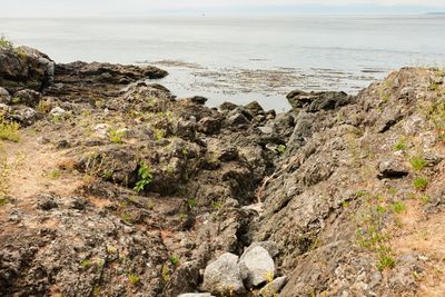 Lime Kiln Point State Park