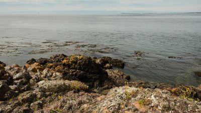 Lime Kiln Point State Park