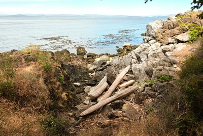 Lime Kiln Point State Park