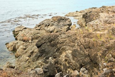 Lime Kiln Point State Park