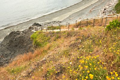 Cattle Point Lighthouse