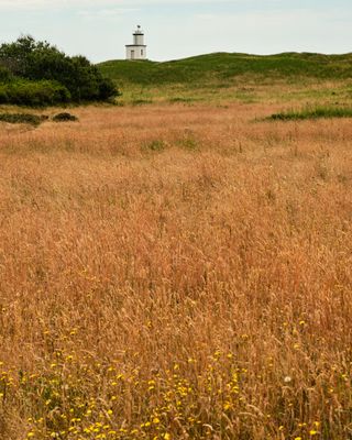 Cattle Point Lighthouse