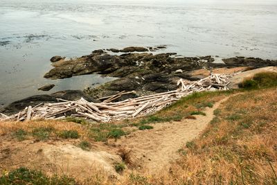 Cattle Point Lighthouse