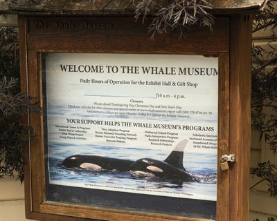 Whale Museum