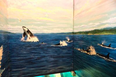 Whale Museum