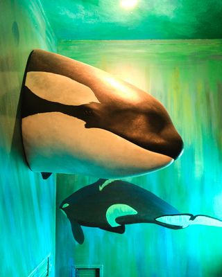 Whale Museum