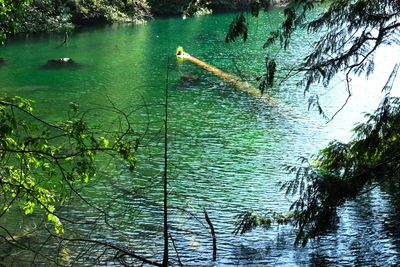 Moran State Park
