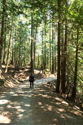 Moran State Park