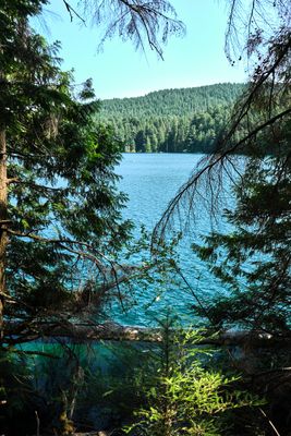 Moran State Park