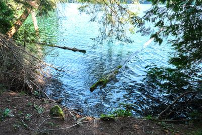 Moran State Park