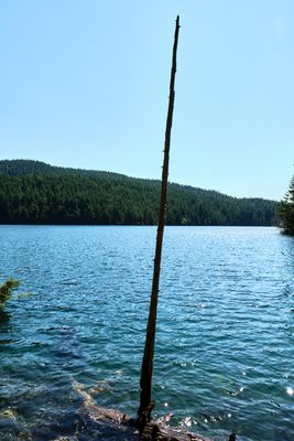 Moran State Park
