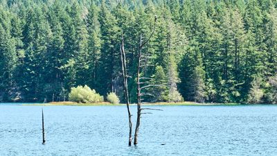 Moran State Park