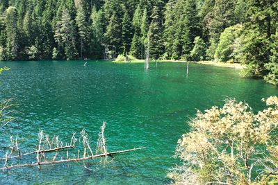 Moran State Park