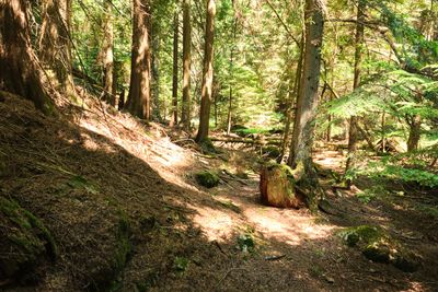 Moran State Park