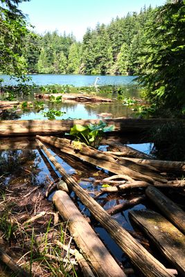 Moran State Park