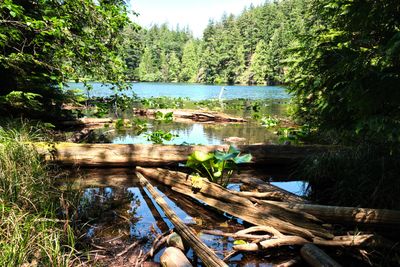 Moran State Park