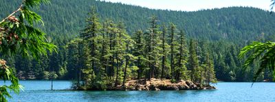 Moran State Park