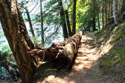 Moran State Park