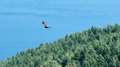 Moran State Park