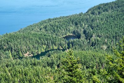 Moran State Park