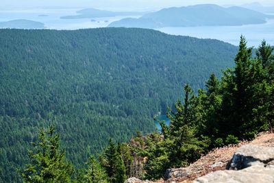 Moran State Park