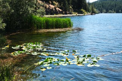 Moran State Park
