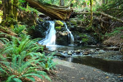 Moran State Park
