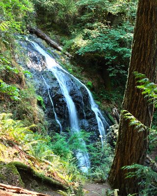 Moran State Park
