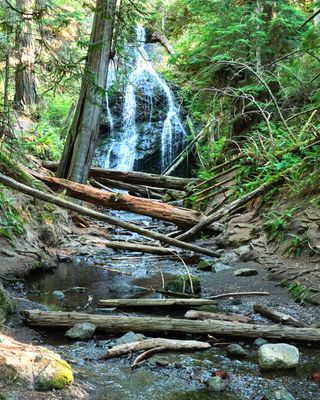 Moran State Park