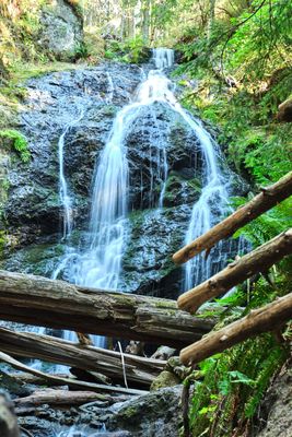 Moran State Park