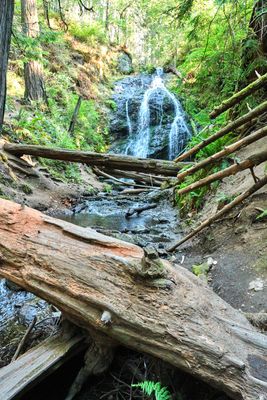 Moran State Park